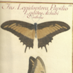 “Lepidoptera Fluminensis”, a forgotten eig ...