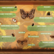 Entomology outreach drawers – the good, t ...
